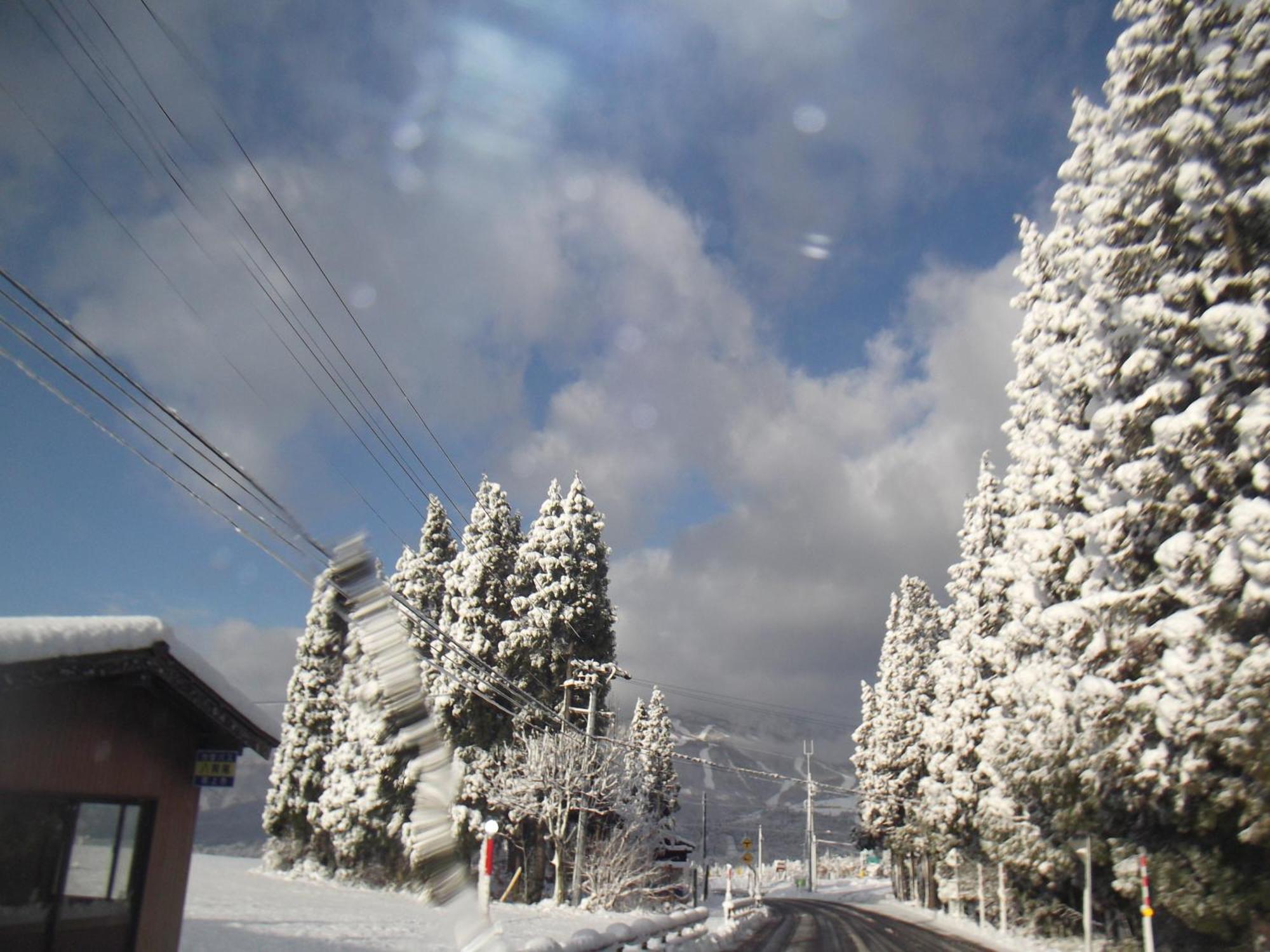Pension Green Lake กุโจ ภายนอก รูปภาพ